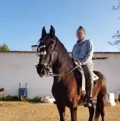 Jasmijn, 31